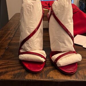 Rosalie Patent Psychic/Lining